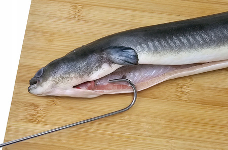 Hak Wędzarniczy Super Smoke do węgorza 32cm Premium